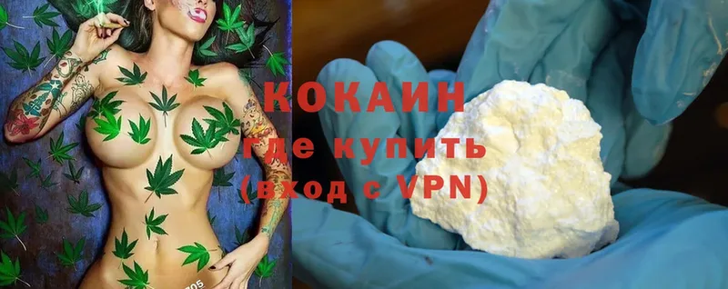 Cocaine Эквадор  где купить   Нижняя Тура 